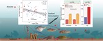 Typical herbicide residues, trophic transfer, bioconcentration, and health risk of marine organisms