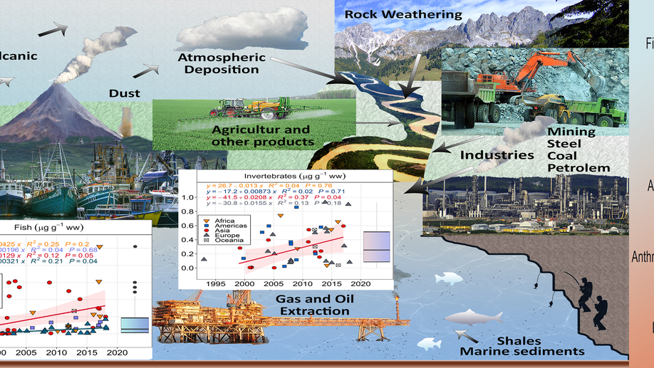 Vanadium pollution and health risks in marine ecosystems: Anthropogenic sources over natural contributions