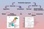 Use, exposure, and environmental impacts of pesticides in Pakistan: A critical review